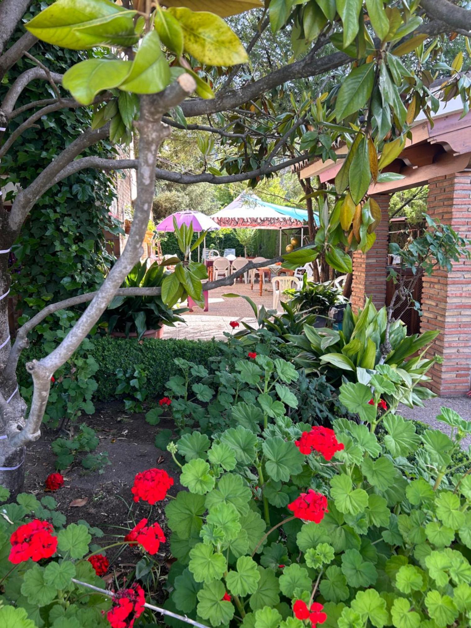 Casa Los Rosales Альфакар Экстерьер фото